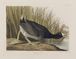 Illustration de 