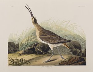 Illustration de 