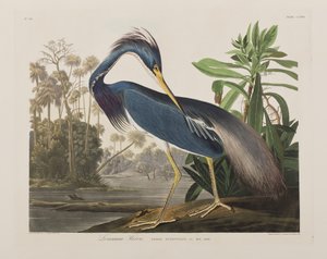 Illustration de 