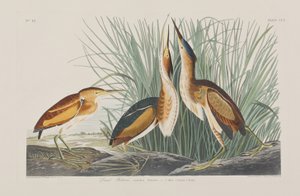 Illustration de 