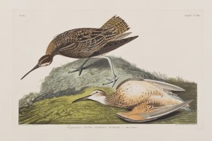 Illustration de 