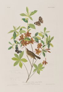 Illustration de 
