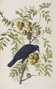 Illustration de 