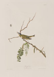 Illustration de 