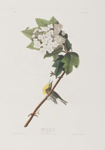 Illustration de 