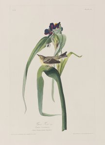 Illustration de 