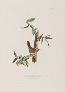 Illustration de 