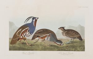 Illustration de 