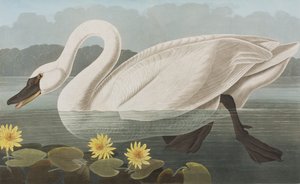 Illustration de 
