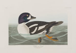 Illustration de 