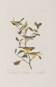 Illustration de 
