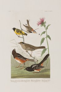 Illustration de 