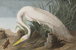 Illustration de 