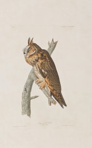 Illustration de 