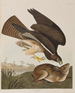 Illustration de 