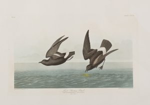 Illustration de 