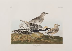 Illustration de 