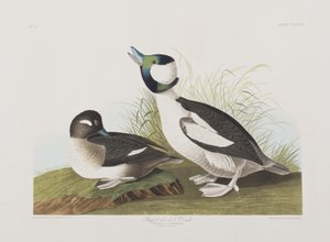Illustration de 