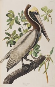Illustration de 