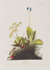 Illustration de 