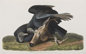 Illustration de 