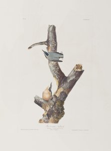 Illustration de 