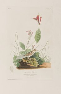 Illustration de 