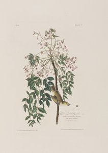 Illustration de 