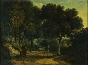 Une route de campagne ombragée