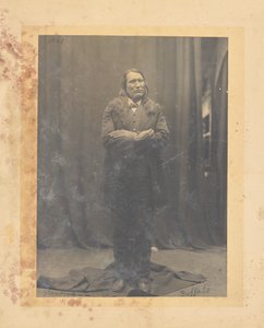 Stehender Büffel