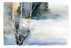 Bouleau en hiver, 2015