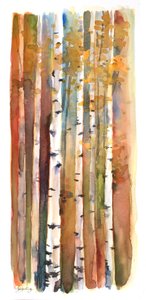 Bouleaux en automne, 2013