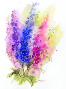 Delphinium - John Keeling