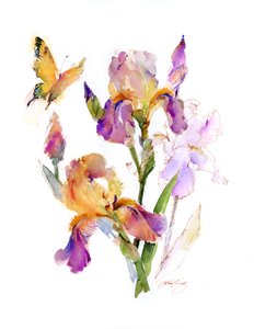 Iris avec papillon jaune