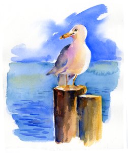 Mouette sur le quai - John Keeling
