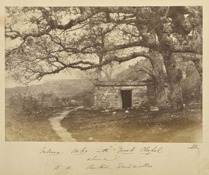 Chênes de Valonea avec la chapelle grecque au-dessus. B.H. Renkioi, Dardanelles - John Kirk