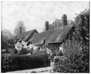 Cottage d