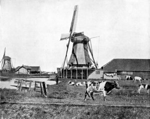 Moulins à vent néerlandais, Hollande, fin du 19e siècle - John L. Stoddard