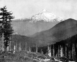 Mont Hood, Oregon, USA, 1893