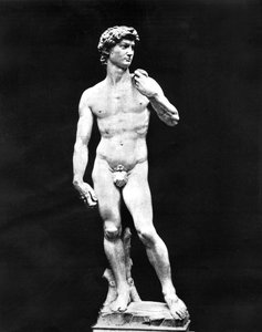 Statue de David, Florence, Italie, 1893 - John L. Stoddard