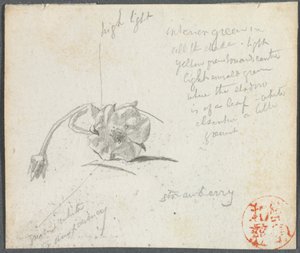 Fleur de fraise - John La Farge