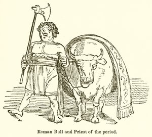 Taureau romain et prêtre de l