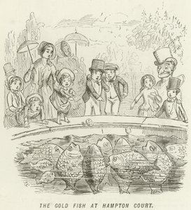 Le Poisson Rouge à Hampton Court - John Leech