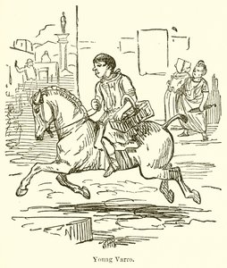 Jeune Varro