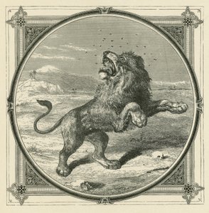 Le moustique pique les yeux du lion