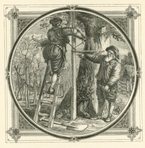 Les branches peuvent être formées, mais pas le tronc (gravure) - John Leighton