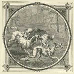 Les chiens et l