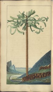 Une page des 