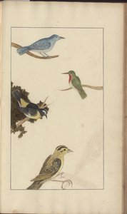 Une page des 