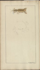 Dessins de Lindsay Vol. VII, 24